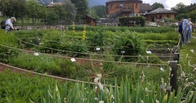 Les Dolomites - 16 au 23 juin 2019