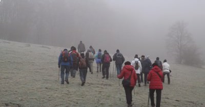 Marche hebdomadaire du mardi