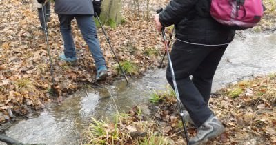 Marche hebdomadaire du mardi