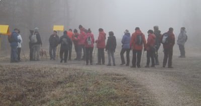 Marche hebdomadaire du mardi