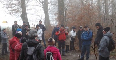 Marche hebdomadaire du mardi