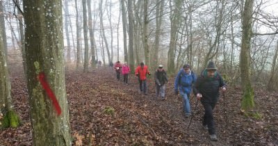 Marche hebdomadaire du mardi