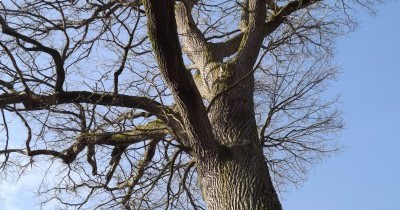 Marche hebdomadaire du mardi