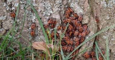 Marche hebdomadaire du mardi