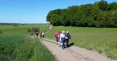 Marche hebdomadaire du mardi