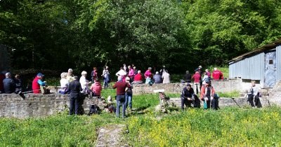 Marche hebdomadaire du mardi