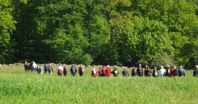 Marche hebdomadaire du mardi