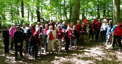 Marche hebdomadaire du mardi