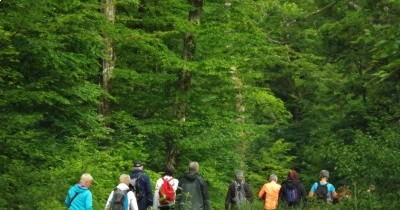 Marche hebdomadaire du mardi