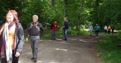 Marche hebdomadaire du mardi