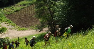 Marche hebdomadaire du mardi