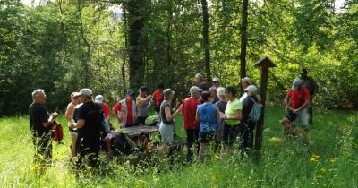 Marche hebdomadaire du mardi