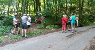 Marche hebdomadaire du mardi