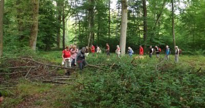 Marche hebdomadaire du mardi