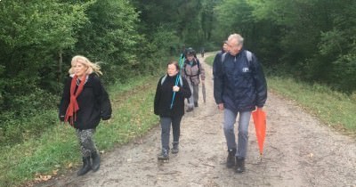 Marche hebdomadaire du mardi