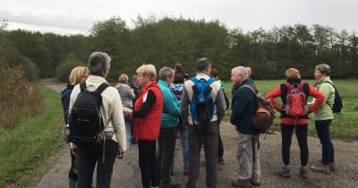 Marche hebdomadaire du mardi