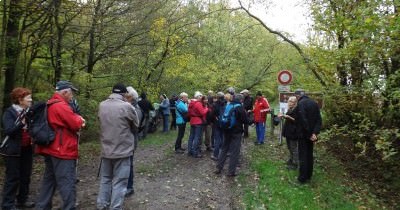 Marche hebdomadaire du mardi