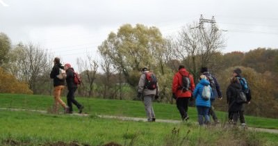 Marche hebdomadaire du mardi