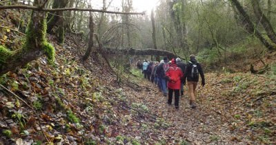 Marche hebdomadaire du mardi