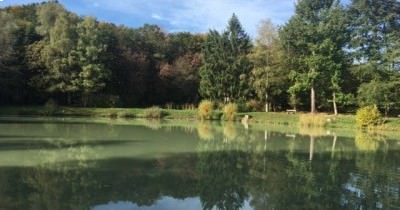Marche nordique du lundi et jeudi