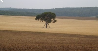 La Grande Boucle de Woustviller - 02 août 2020