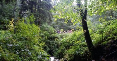 Week-end en Forêt-Noire - 26-27 septembre 2020