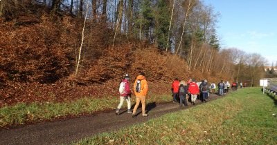 Marche hebdomadaire du mardi