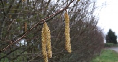 Marche hebdomadaire du mardi