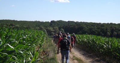 Marche hebdomadaire du mardi