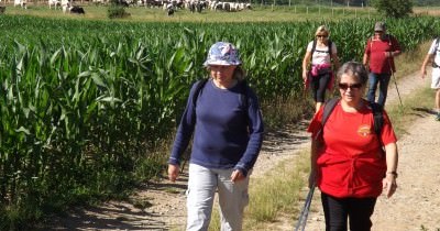 Marche hebdomadaire du mardi