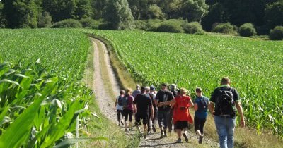 Marche hebdomadaire du mardi