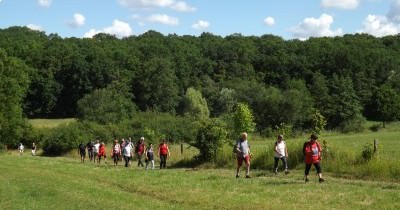 Marche hebdomadaire du mardi
