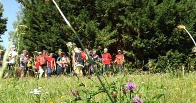 Marche hebdomadaire du mardi