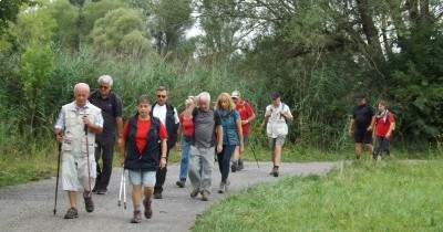 Marche hebdomadaire du mardi