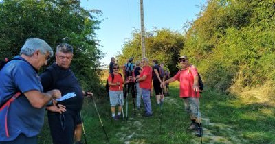Marche hebdomadaire du mardi