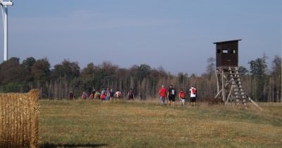 Marche hebdomadaire du mardi