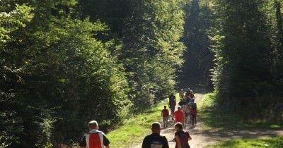 Marche hebdomadaire du mardi