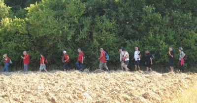 Marche hebdomadaire du mardi