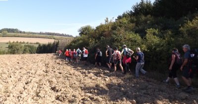 Marche hebdomadaire du mardi