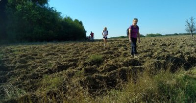 Marche hebdomadaire du mardi