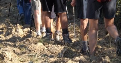 Marche hebdomadaire du mardi
