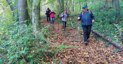 Marche hebdomadaire du mardi