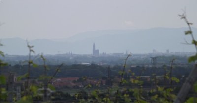 La Boucle des Balcons de Rosheim - 20 juin 2021