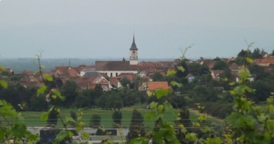 La Boucle des Balcons de Rosheim - 20 juin 2021