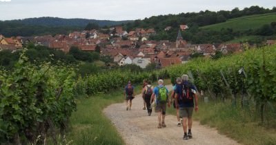 La Boucle des Balcons de Rosheim - 20 juin 2021