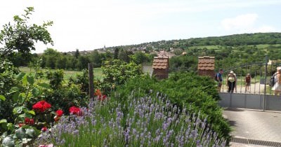 La Boucle des Balcons de Rosheim - 20 juin 2021