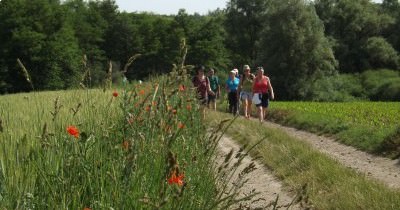 Marche hebdomadaire du mardi