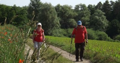 Marche hebdomadaire du mardi