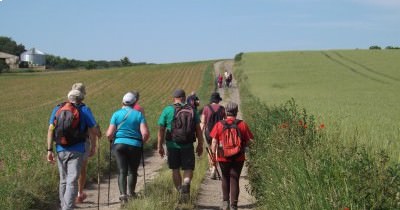 Marche hebdomadaire du mardi