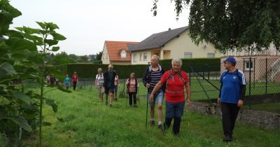 Marche hebdomadaire du mardi